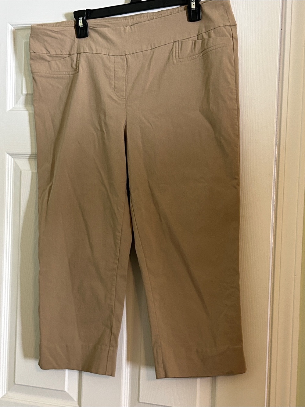 Zac & Rachel Tan women Chino Capris